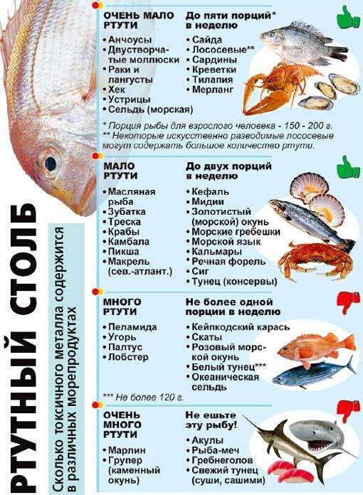 Вкуснейшая красная рыбка семга — ее польза и особенности состава. кому важно включать ее в рацион и может ли быть от семги вред