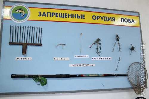 Запрет на ловлю в белоруссии. Запрещенные снасти для рыбалки. Орудия ловли рыбы. Запрещенные орудия ловли для рыбалки. Запрещённые снасти для ловли рыбы.