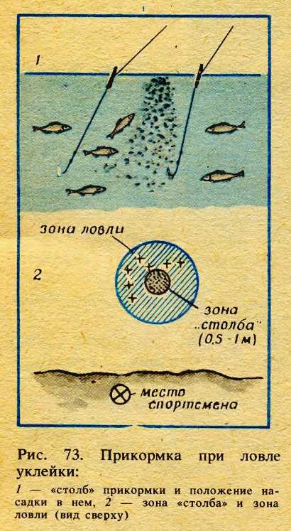 Блины для ловли карася рецепт