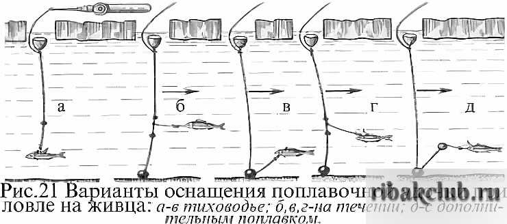 Ловля окуня на озерах простая техника для рыбалки на озере