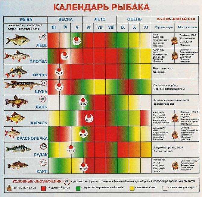 Прогноз погоды и клёва рыбы на 3-5 дней — будет ли клевать рыба, прогноз рыбалки
