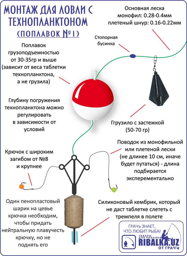 Технопланктон в домашних условиях: основные компоненты, принципы изготовления и рецепты, особенности ловли с технопланктоном