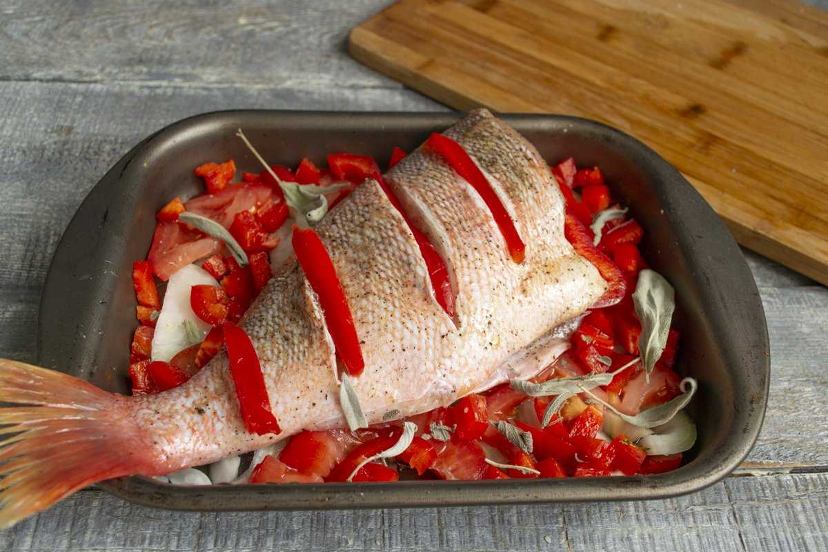 Приготовить морскую рыбу вкусно. Морской окунь с овощами в духовке. Морской окунь запеченный в духовке. Красный окунь. Запеченный красный окунь.