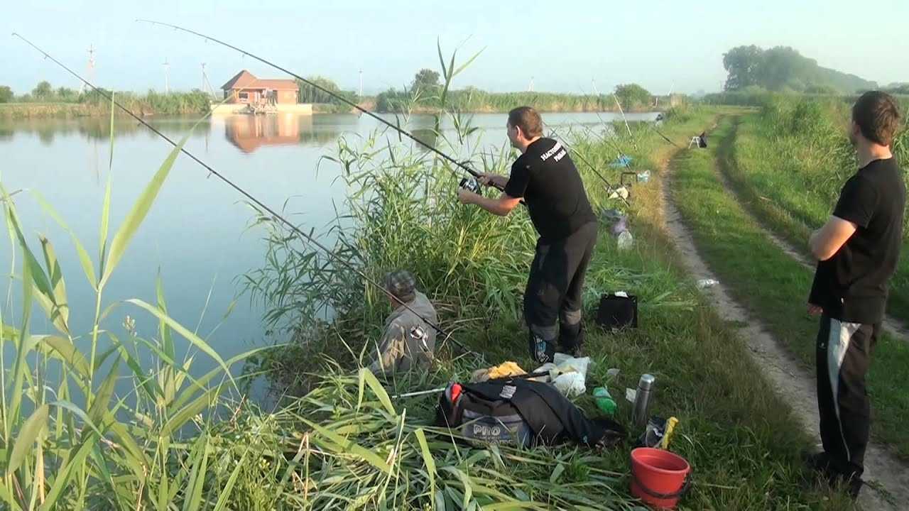 Марьянские пруды Краснодарский край рыбалка в Краснодаре