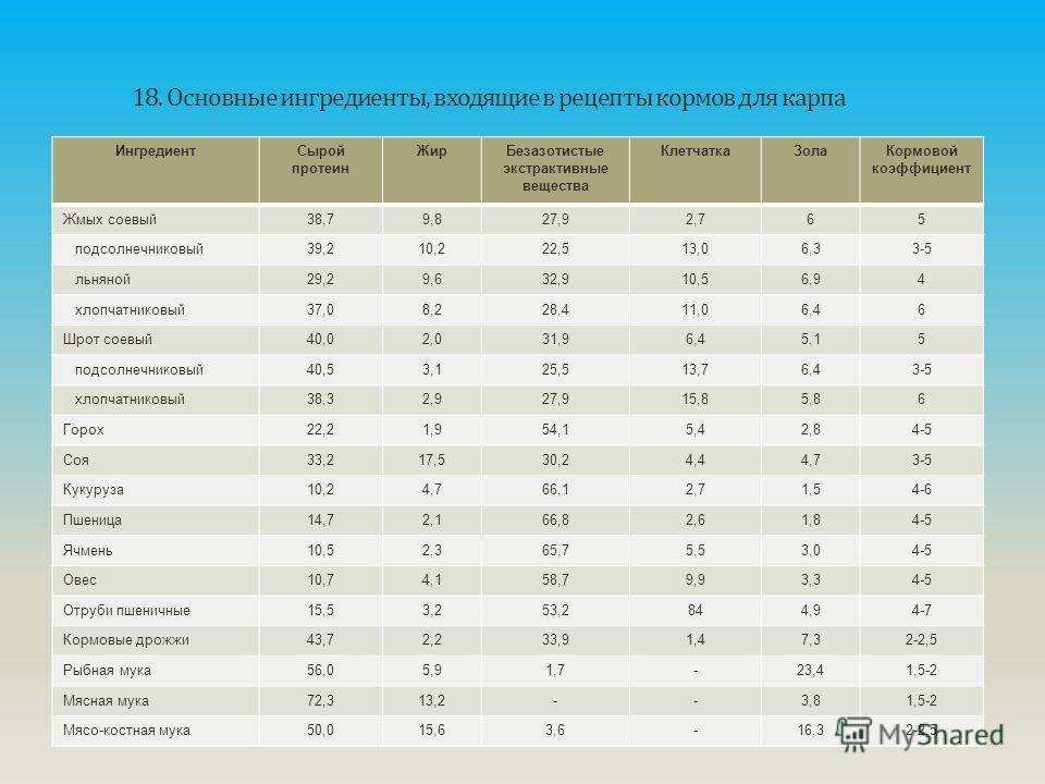 Что приготовить из комбикорма для рыбы