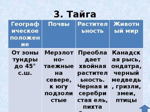 Характеристика природной зоны по плану 8 класс тайга