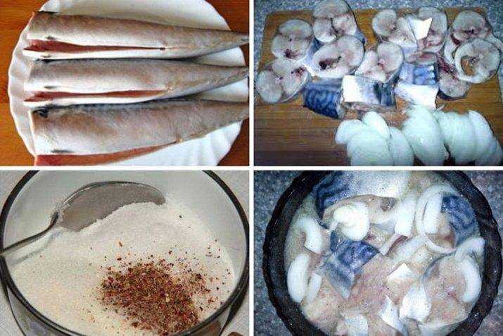 Засолка вкусной скумбрии, множество рецептов для домашнего соления Советы по приготовлению вкусной горбуши