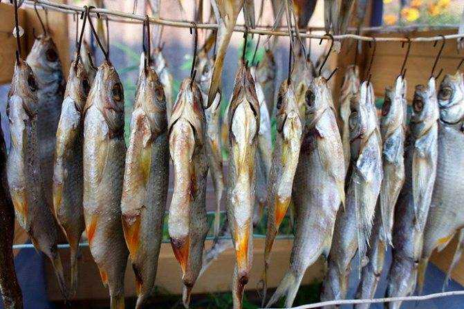 Как правильно вялить рыбу в домашних условиях - поэтапные рецепты с фото