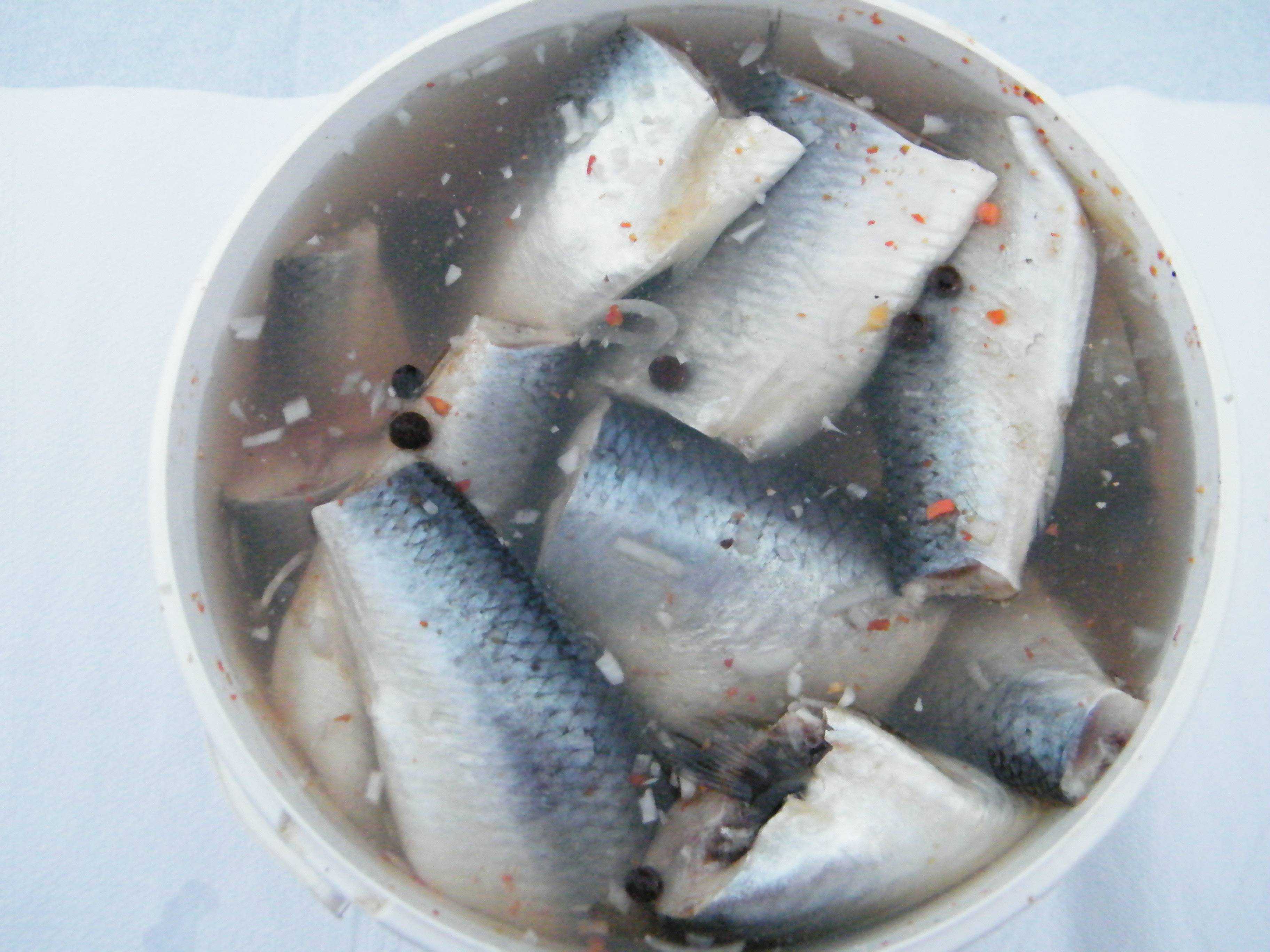 Можно ли засолить рыбу за 2 часа: полностью безопасный рецепт соленой горбуши — не отличить от семги!
