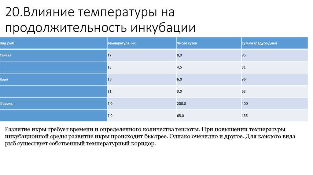 Правильная ловля карпа - базовые правила и советы