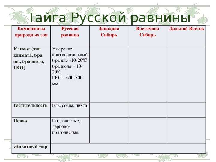 План характеристики тайги