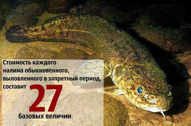 Температура в финляндии: средняя зимой, летом, весной, осенью, самая низкая и среднегодовая