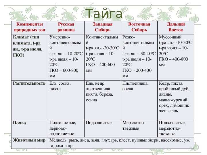 План характеристики тайги