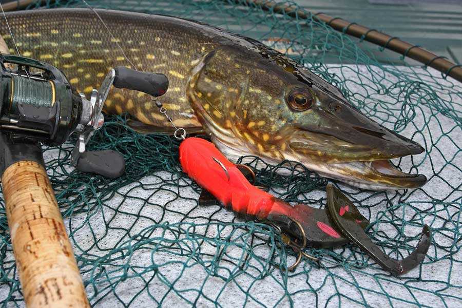 Дроп-шот — разнесенная оснастка для рыбалки на спиннинг