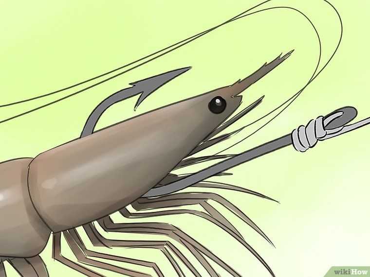 Как насадить креветку на волос